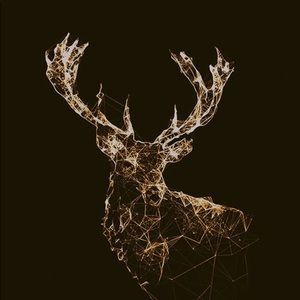 Meet your Posher, Zachary